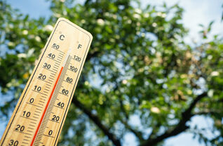 Inscription veille canicule