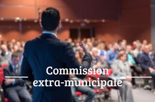 Commission extra-municipale sur les handicaps